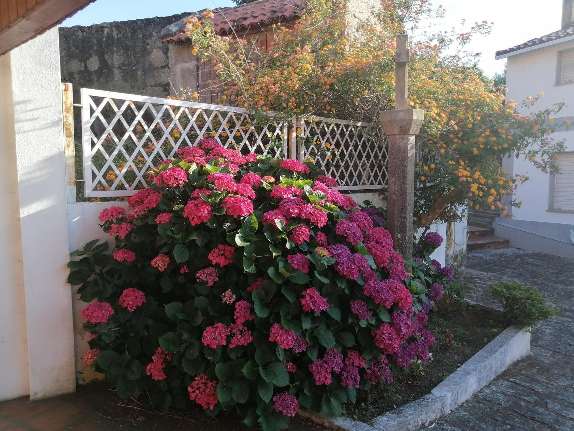 Casa Reboredo Pontevedra Exterior photo